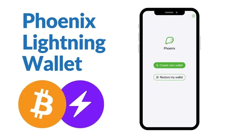 Phoenix Wallet: Review of the Lightning Wallet